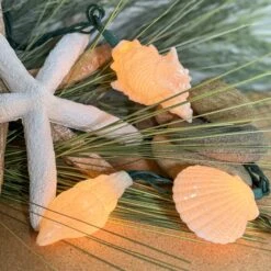 Seashell Light Set