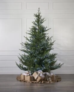 500 Cool White Compact Light Set -SNW Decor Themes Shop 440200 4