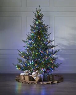 1000 Multicolor Compact Light Set -SNW Decor Themes Shop 440207 3