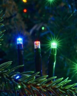 448 Multicolored Cluster Light Set