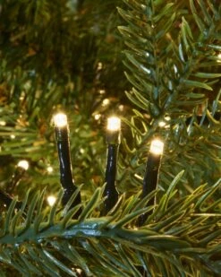 1000 Warm White Light Set