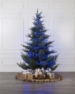 500 Blue Compact Lights -SNW Decor Themes Shop 500429 4