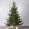10ft Norway Spruce Tree