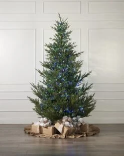 768LT Multi Cluster -SNW Decor Themes Shop 510213 4