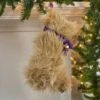 Golden Doodle Stocking