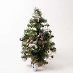 24IN Green Multi Mini Tree With 10 Ornaments