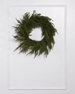 24IN Fresh Cut Norfolk Pine Wreath