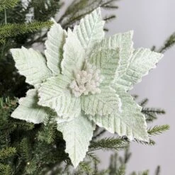 Mint Green Sugared Poinsettia
